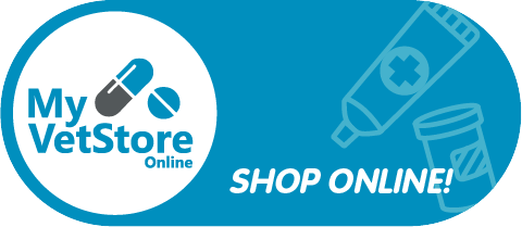 Shop our online store!